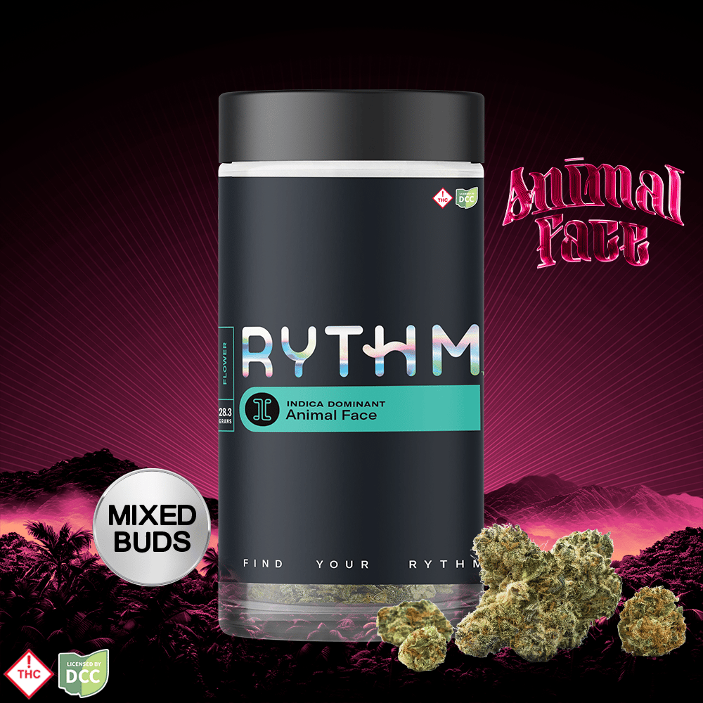 RYTHM – Animal Face
