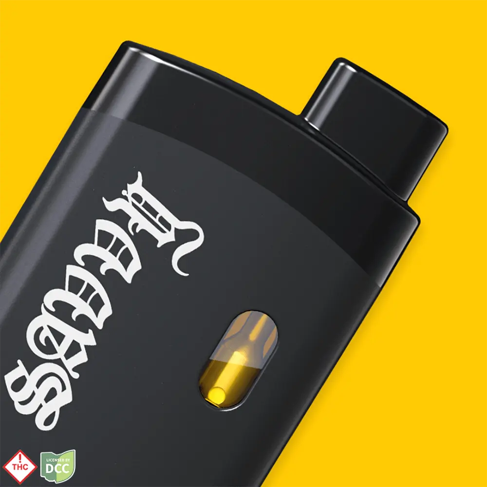 Savvy – Strut - Sunday Brunch [2g]