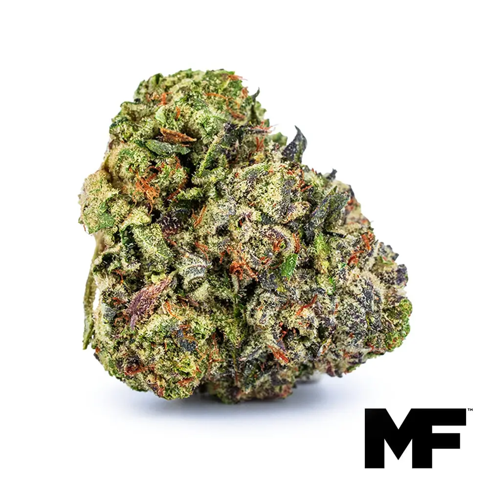Modern Flower – Jet Fuel