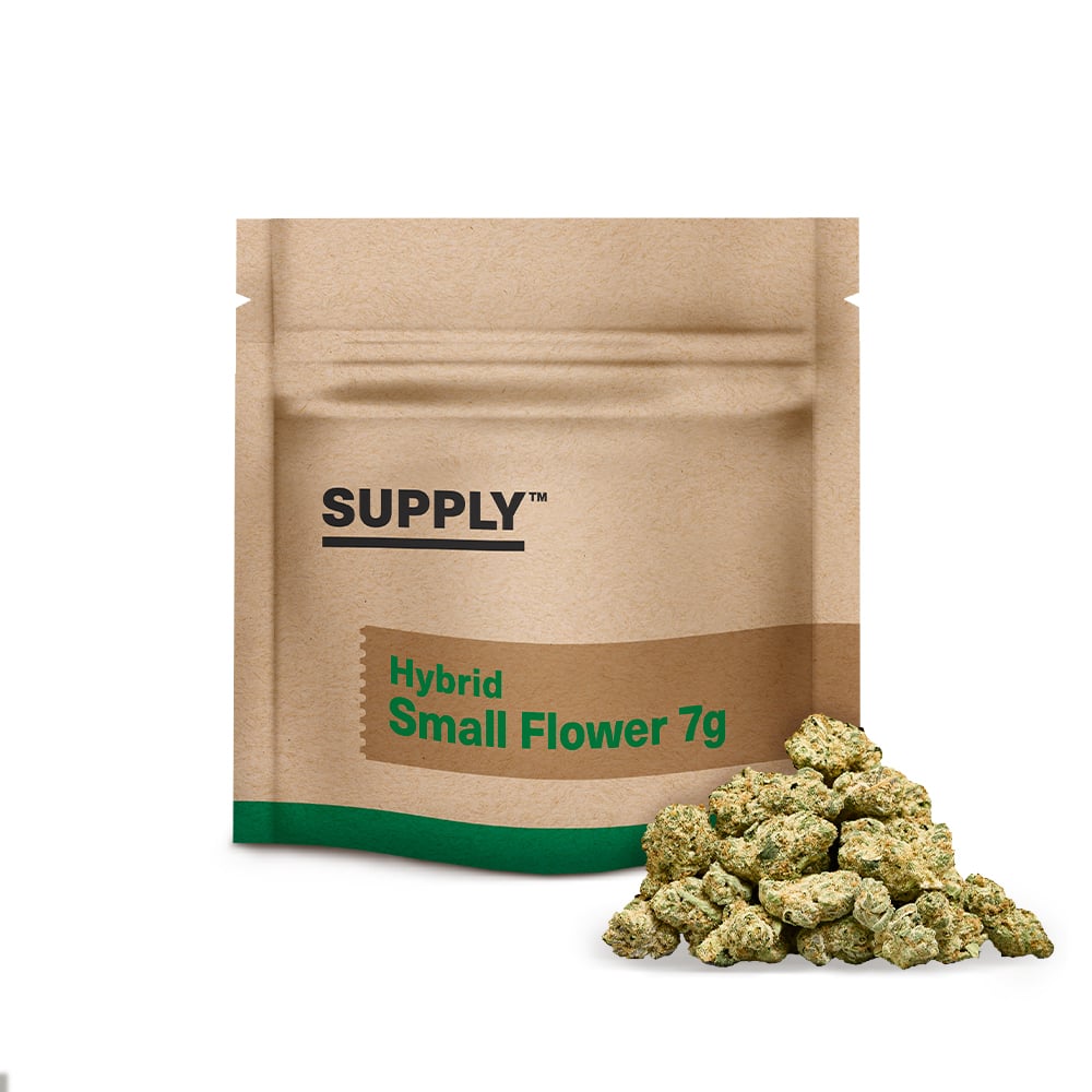 Supply™ – Purple Submarine