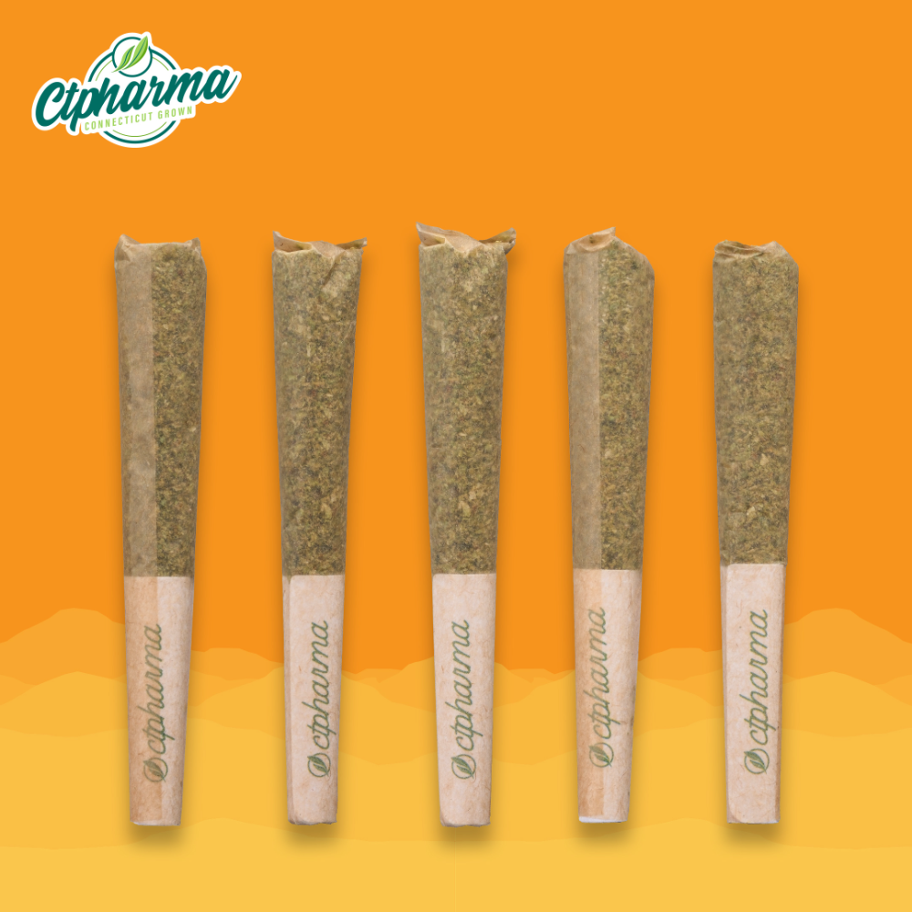 CTPharma – B52 Bomber Shorties S 27670