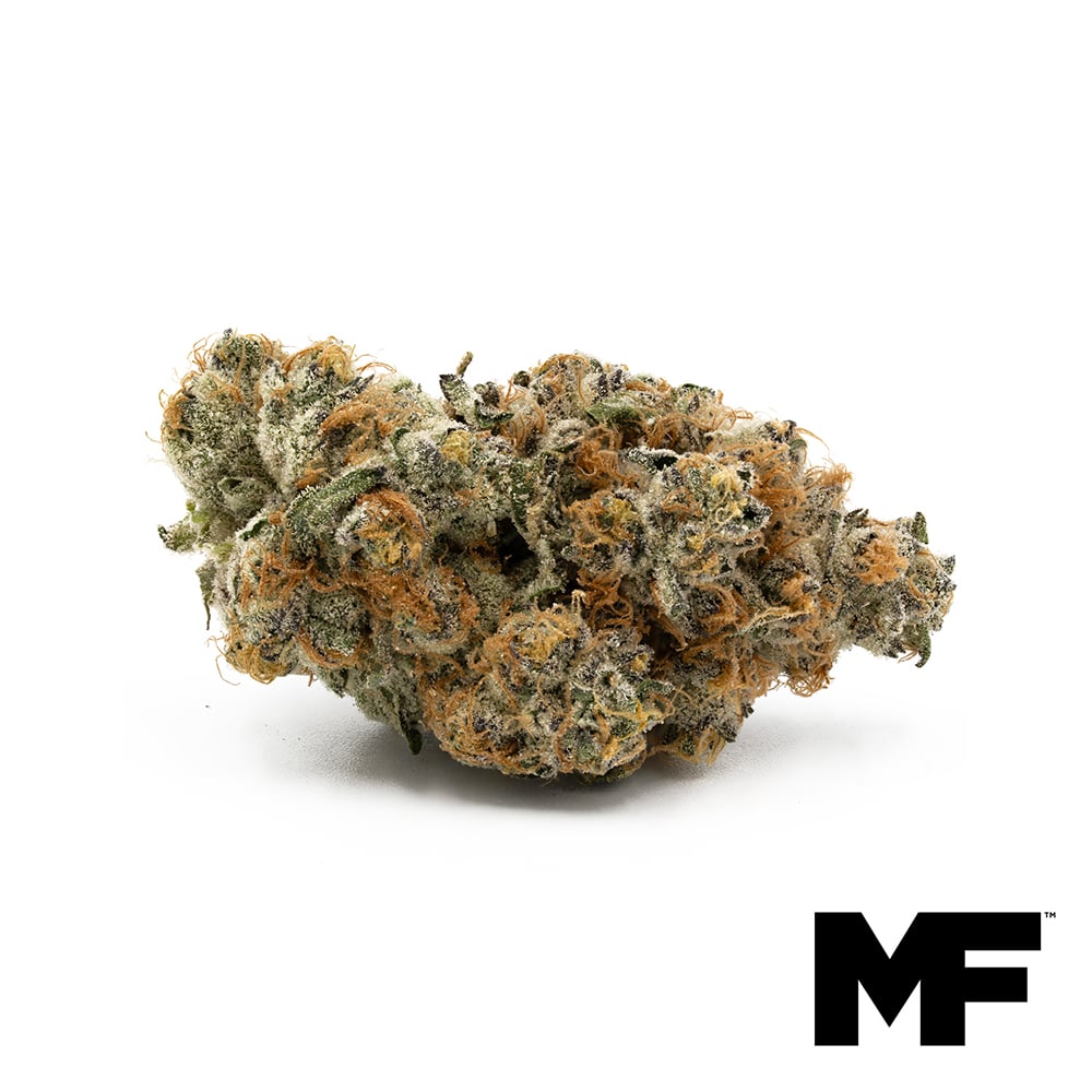 Modern Flower – Dark Rainbow