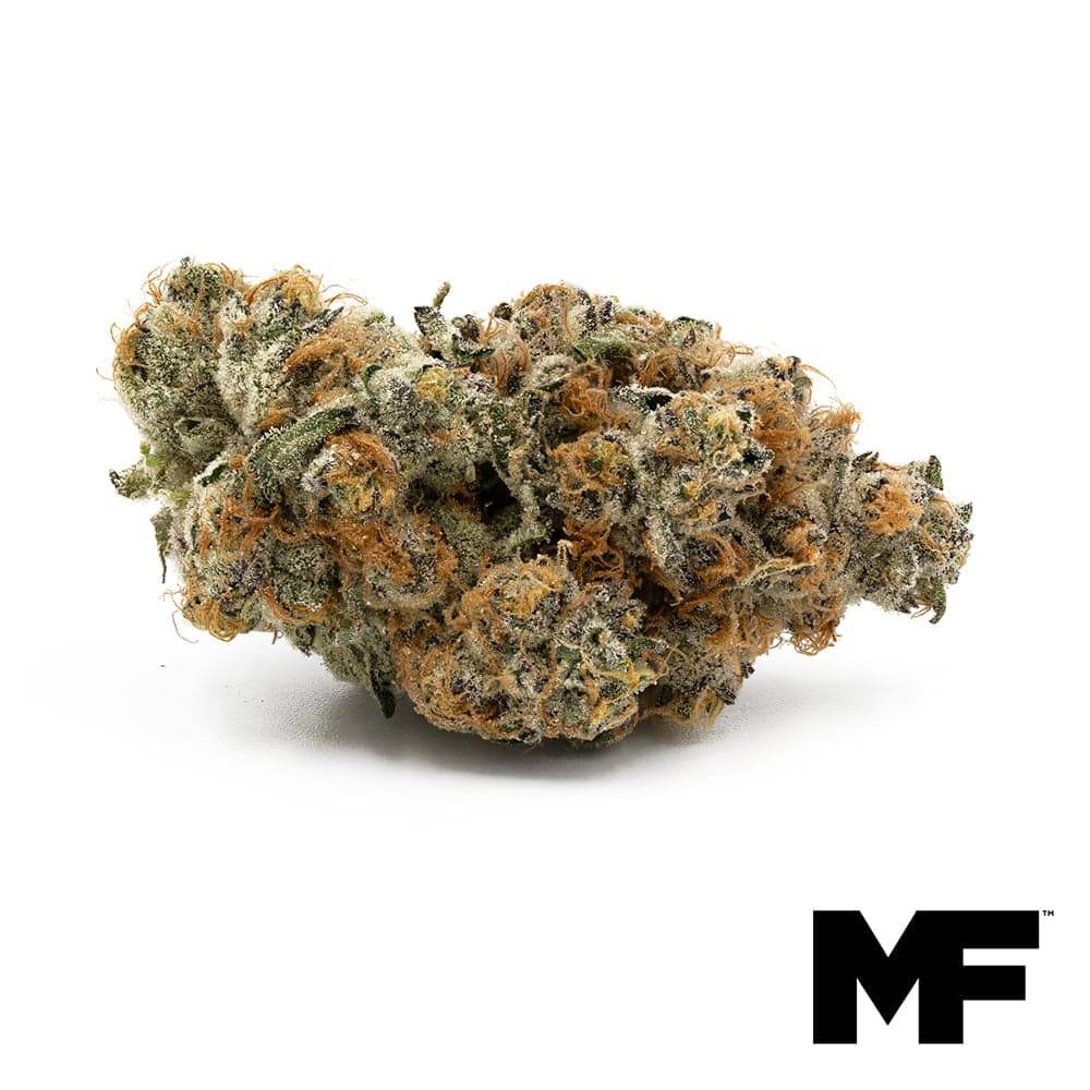 Modern Flower – Dark Rainbow #2