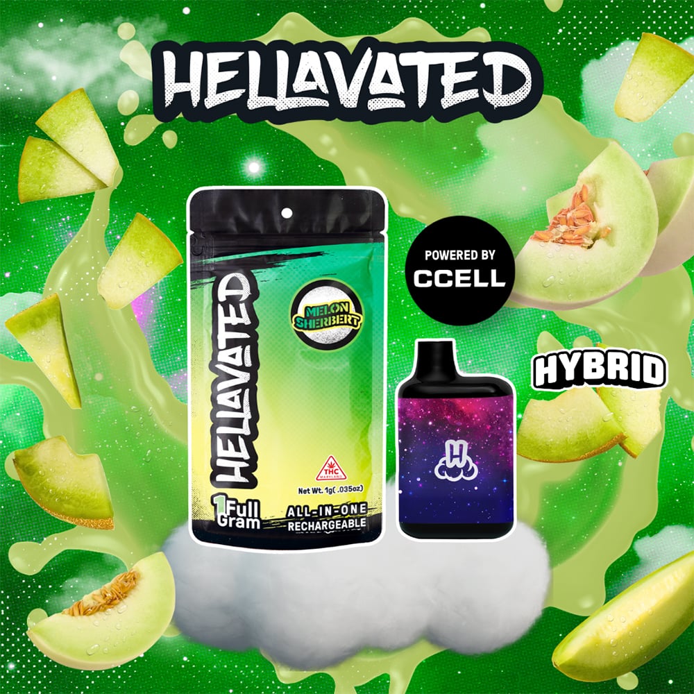 Hellavated – Melon Sherbert [1g]