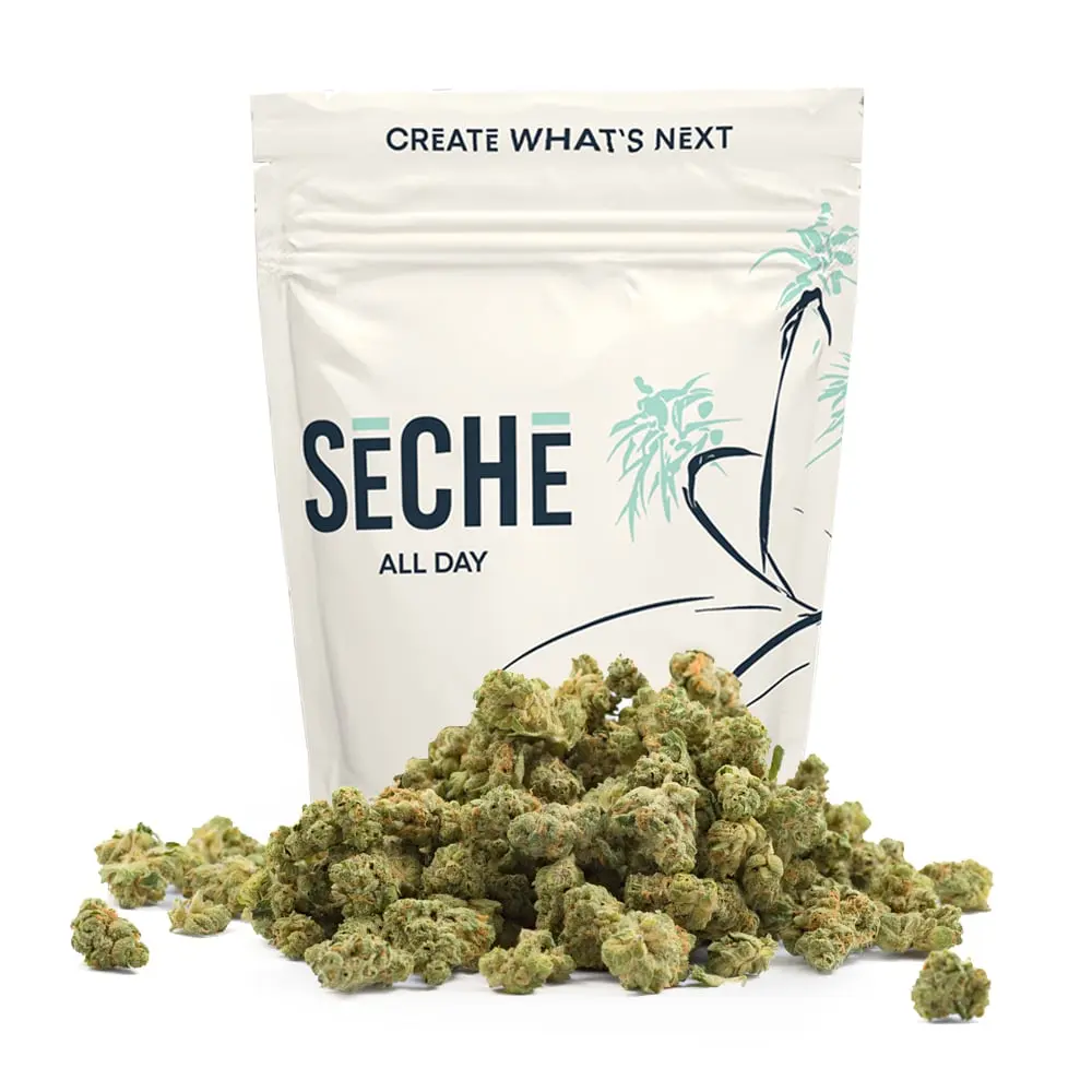 SeCHe – Apple Mintz