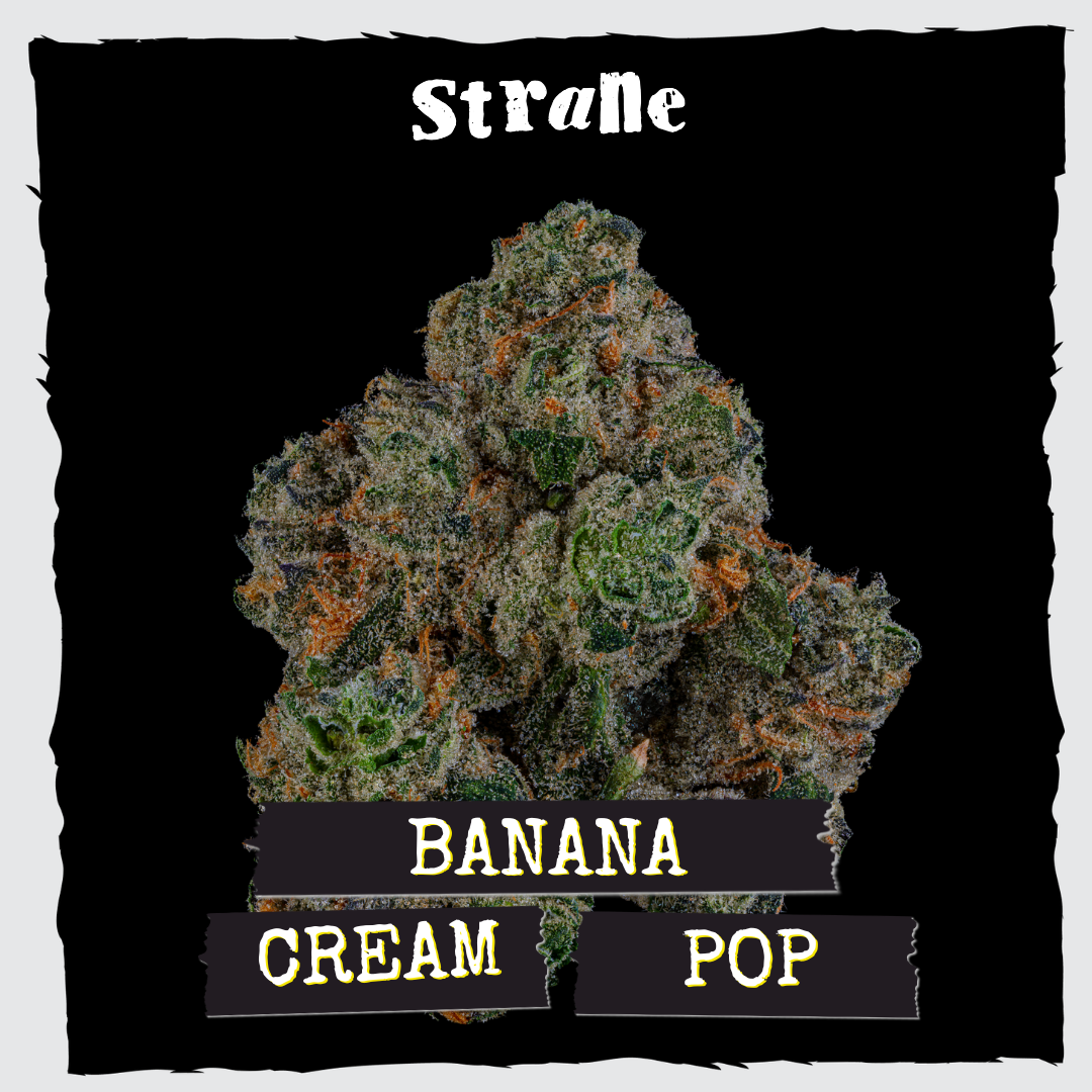 Banana Cream Pop Strane - Maryland, Joppa | RISE Cannabis