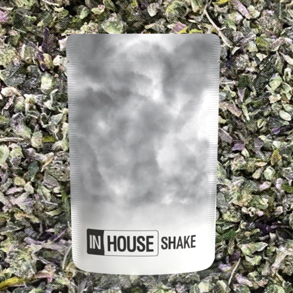 InHouse – GMO x Gush Mints