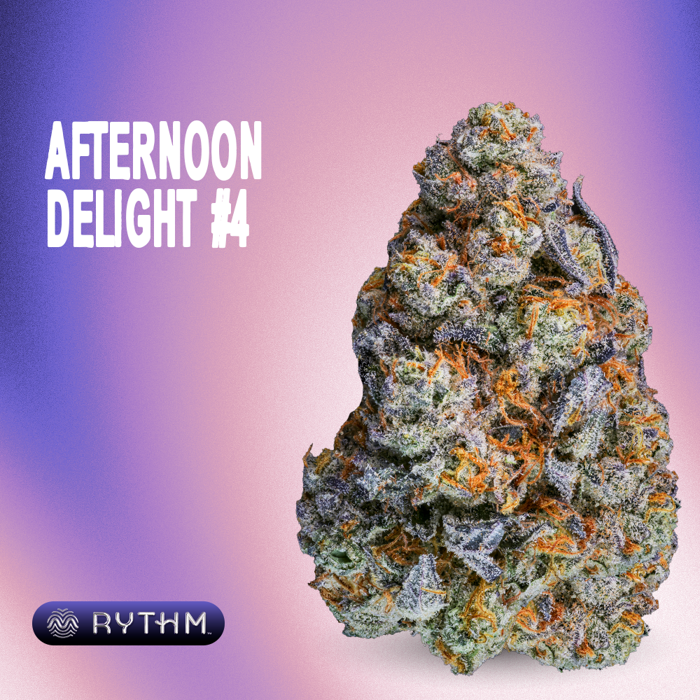 RYTHM – Afternoon Delight #4