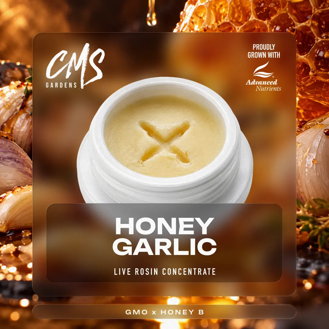 CMS Gardens – Honey Garlic [3.5g]