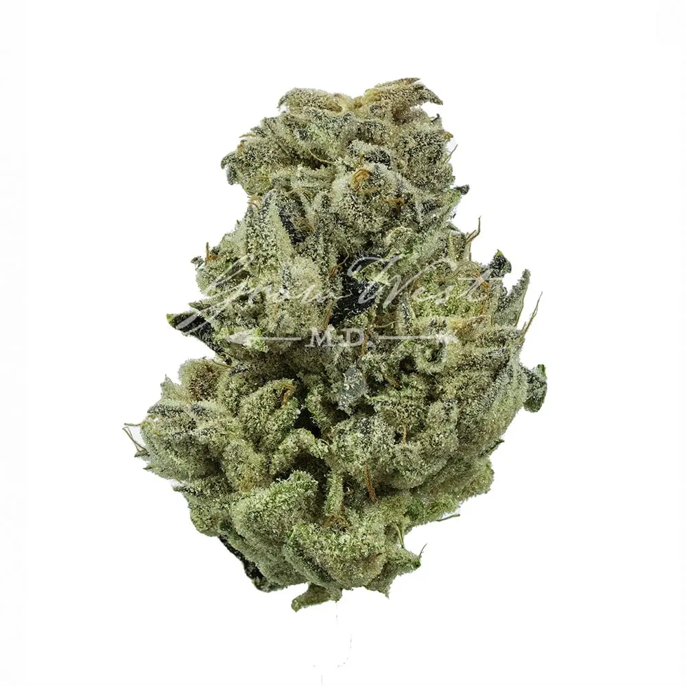 Grow West – Purple Koala