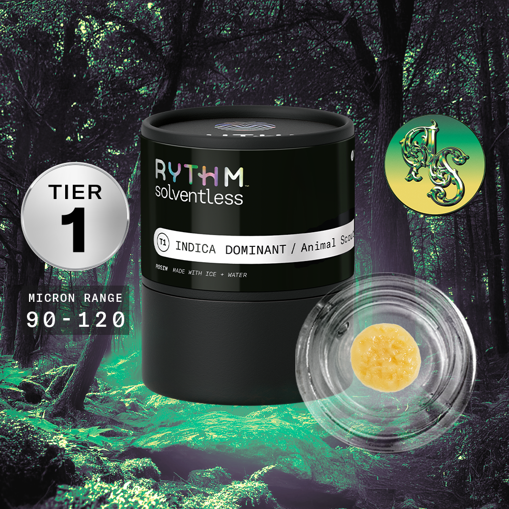 RYTHM – Animal Scout