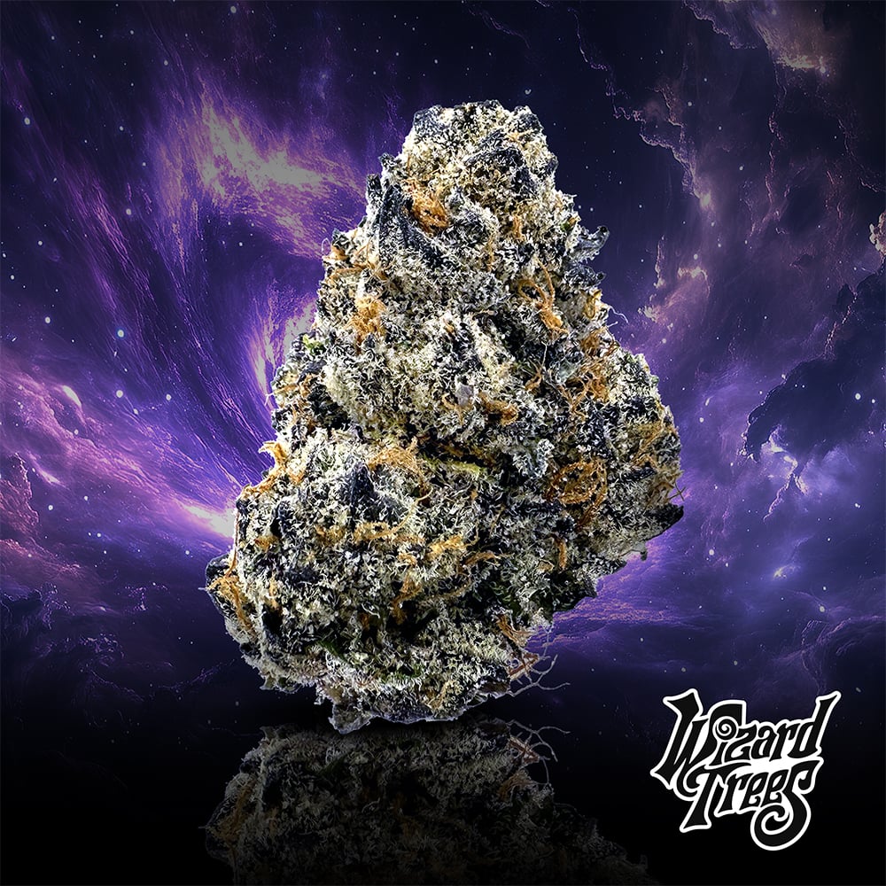 Wizard Trees – Rainbow Rntz