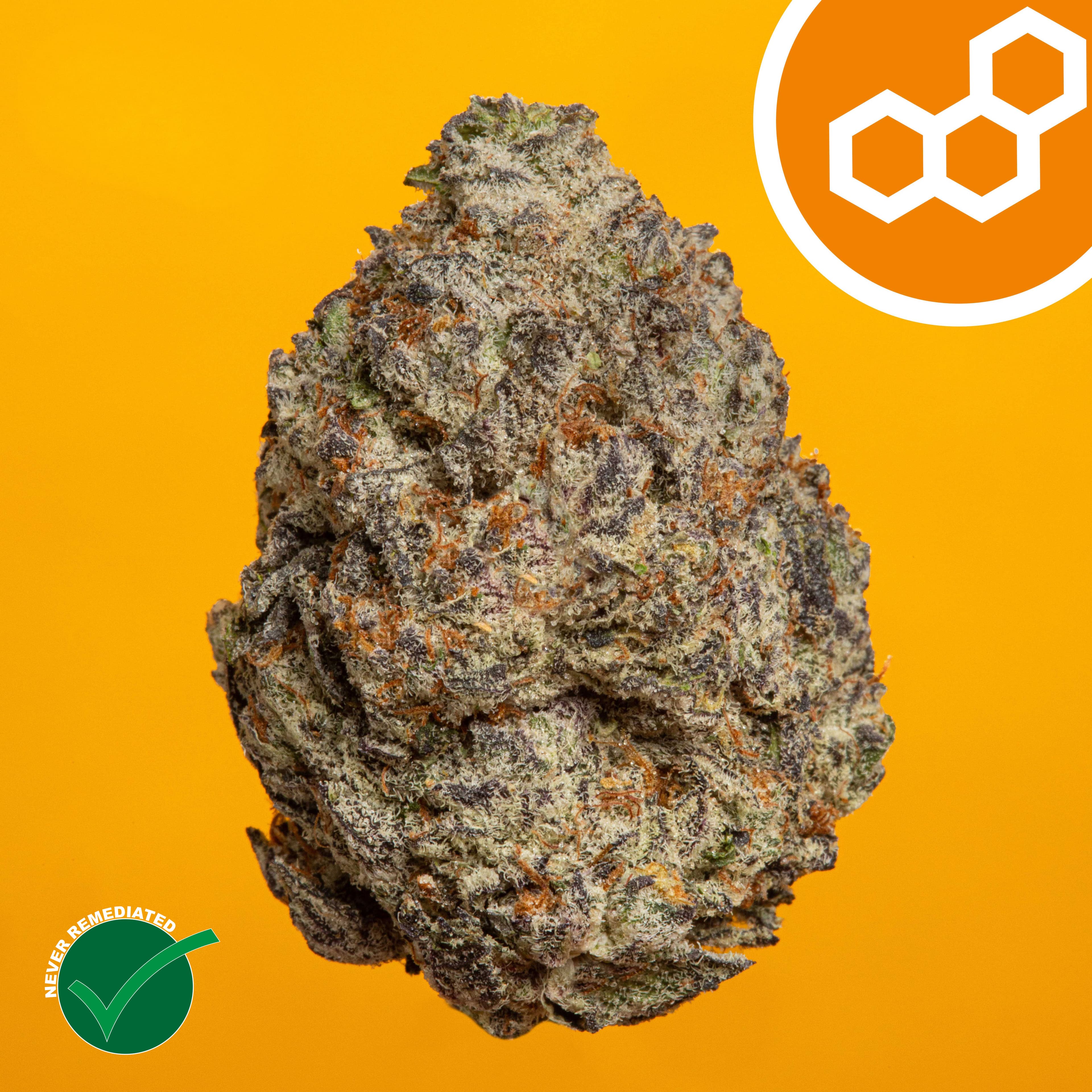 Theraplant – Strawberry Cndy 42148