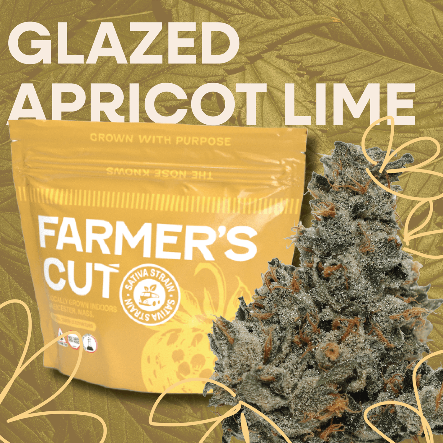 Farmer's Cut – Glazed Apricot Lime