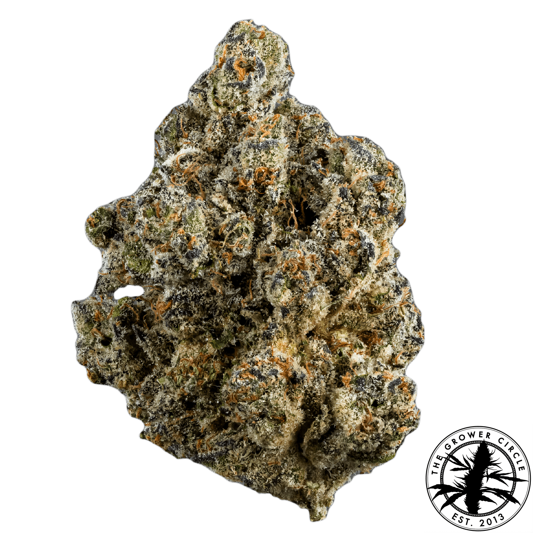 The Grower Circle – Face on Fire #9