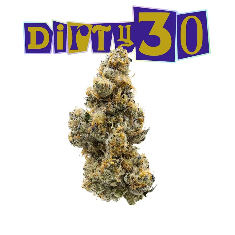 Fade Co. – Dirty 30
