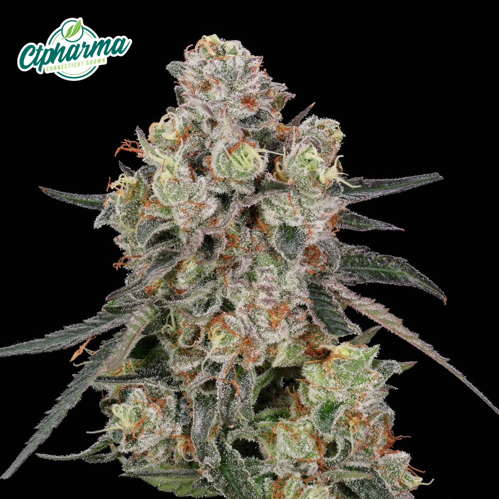 CTPharma – Passion Orange Guava Flower S 27444