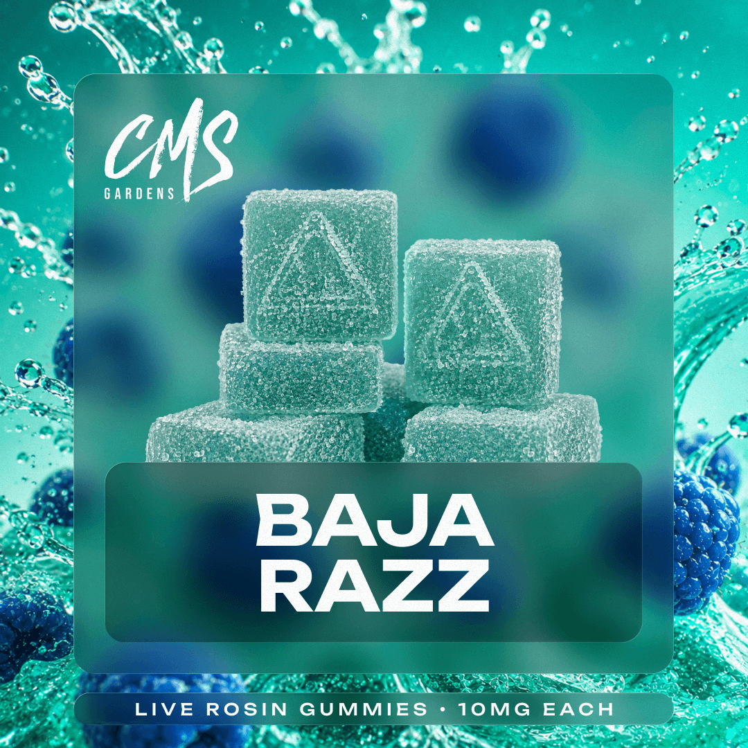CMS Gardens – Baja Razz [10pk] (100mg)