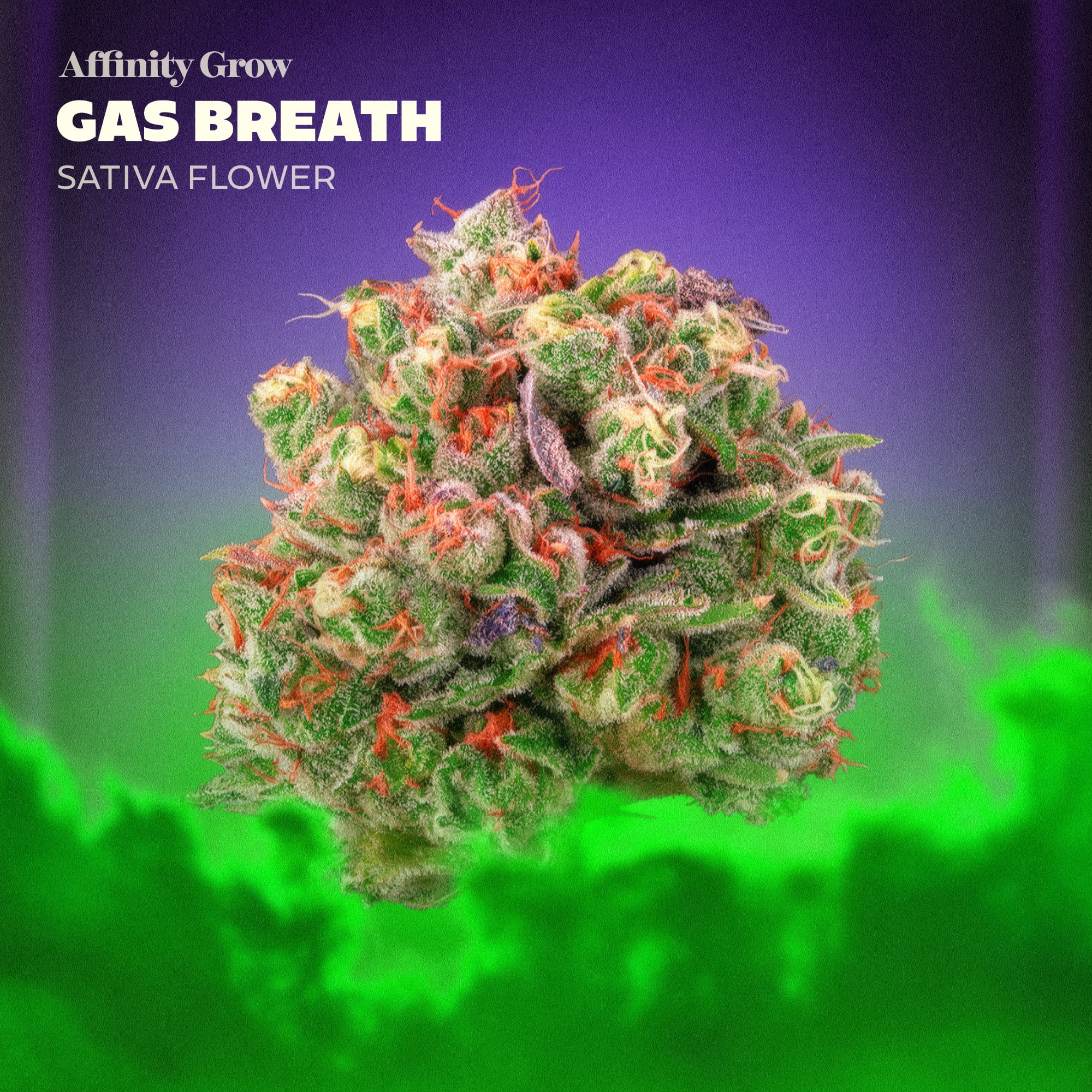 Affinity Grow – Gas Breath Flower T25.39% S 01058