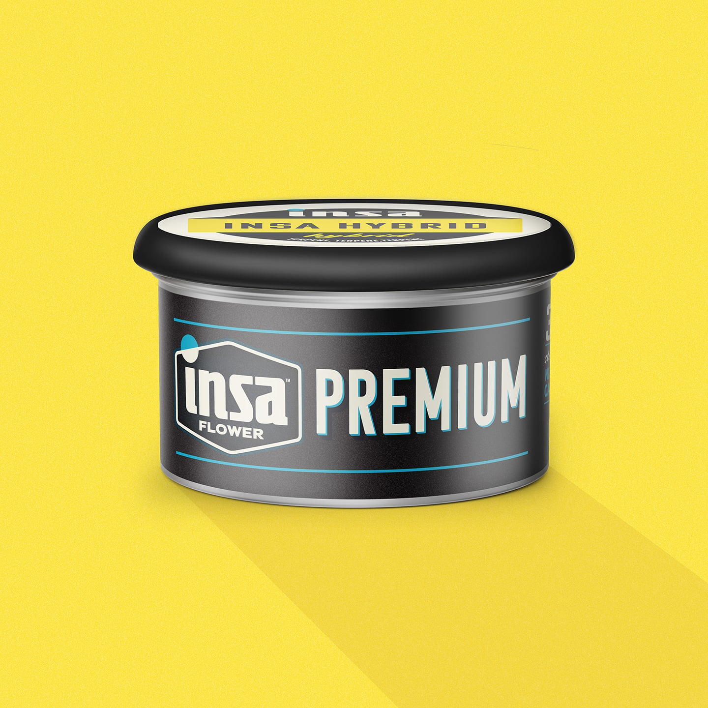 Insa – Permanent Mintz