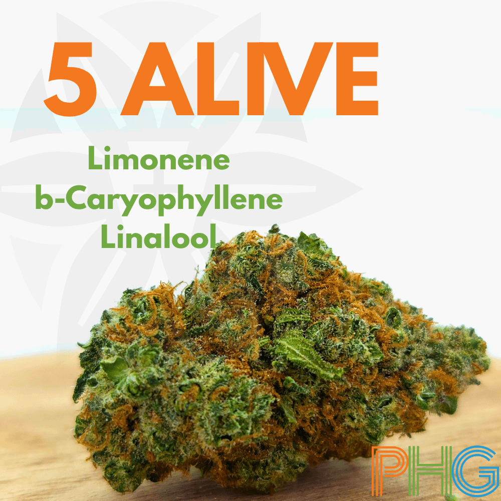 Penn Health Group – 5 Alive