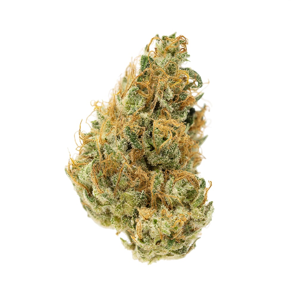 Terrapin – Grapefruit #3