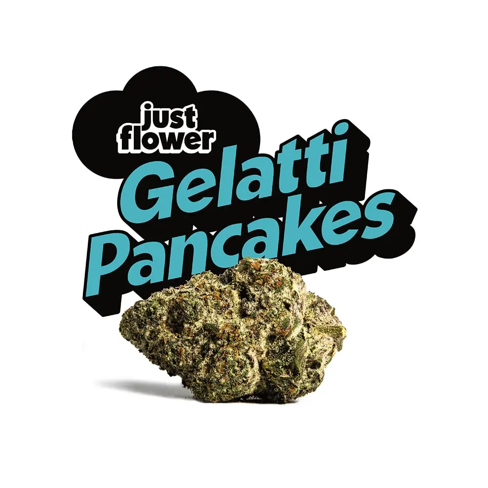 Just Flower – Gelatti Pancakes [4g]