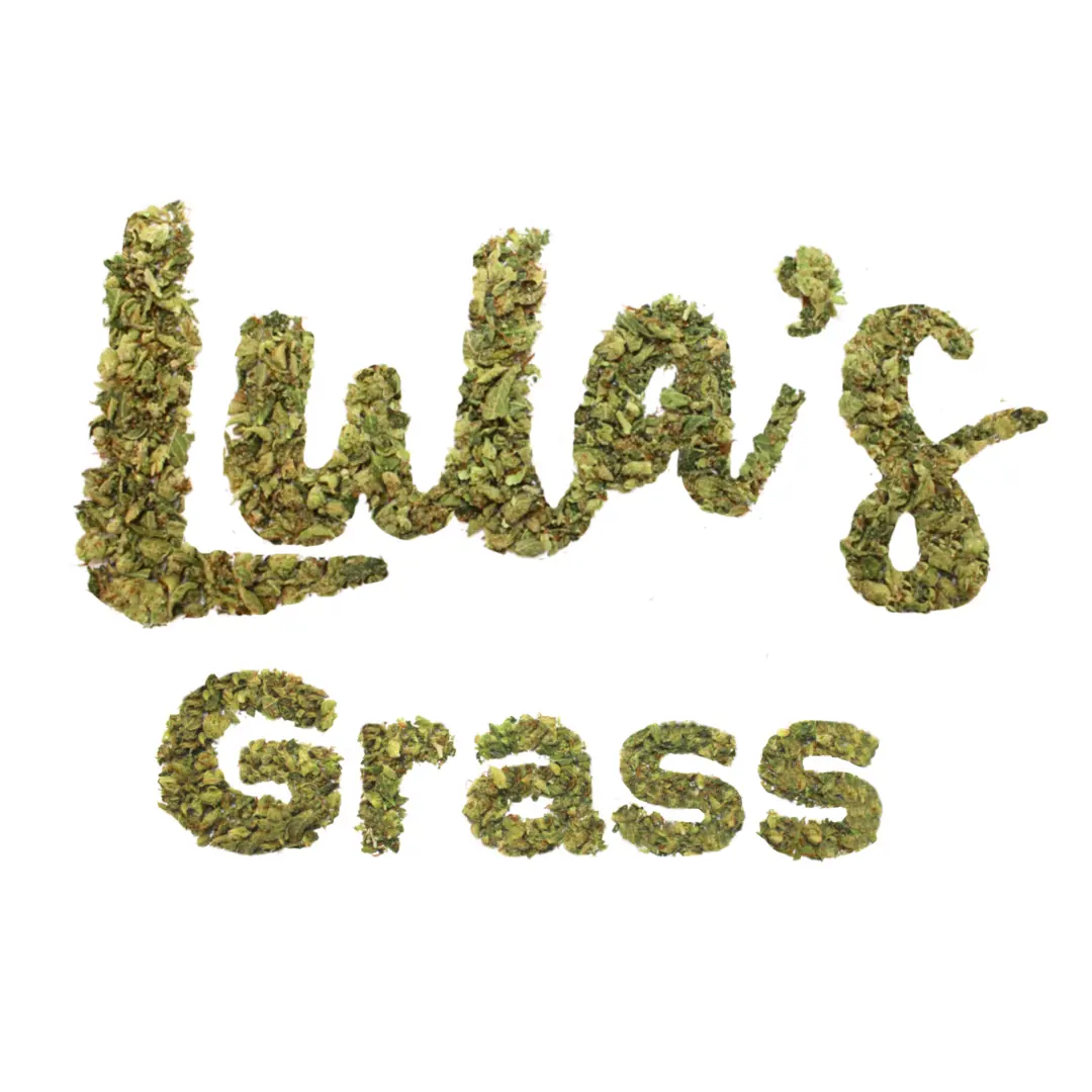 Lula's – Mr. Nasty