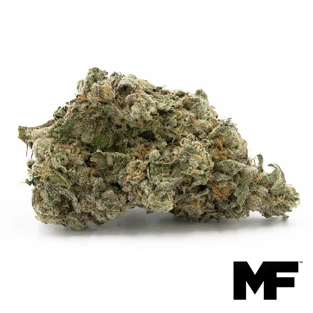 Modern Flower – GSH MNTS