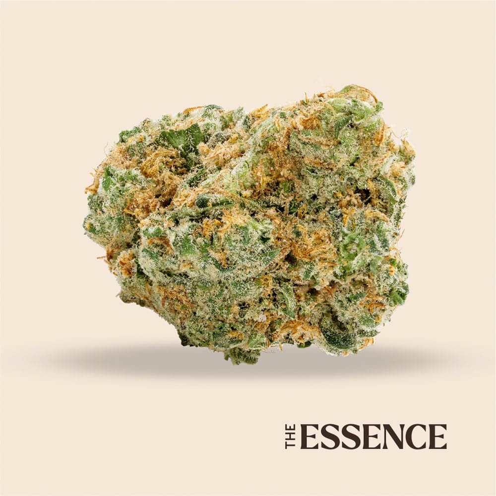 (the) Essence – Do Si Dos