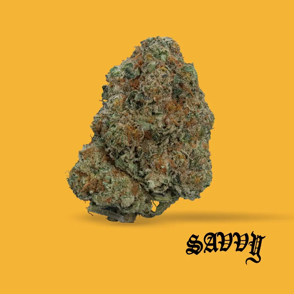 Savvy – Philly Special