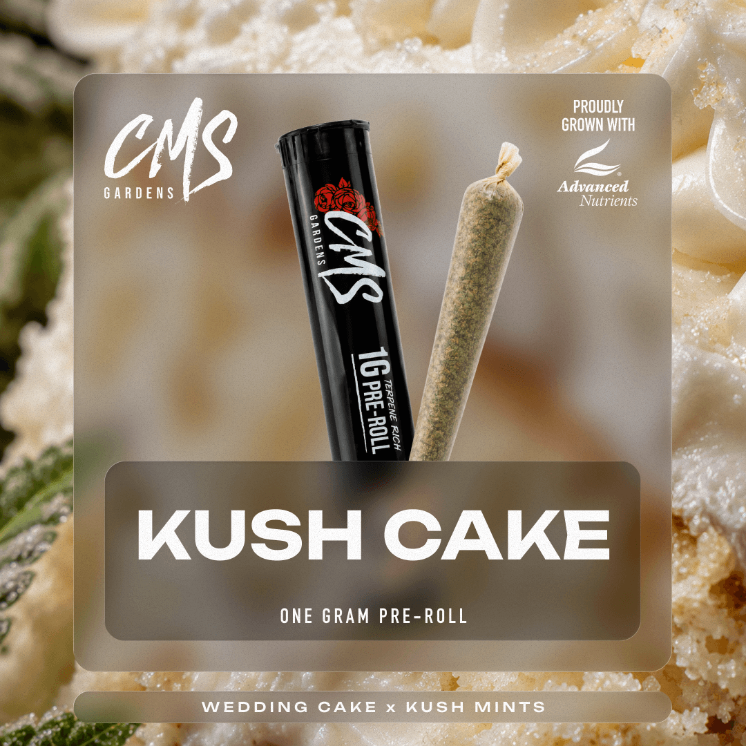 CMS Gardens – Kush Cake [1g]