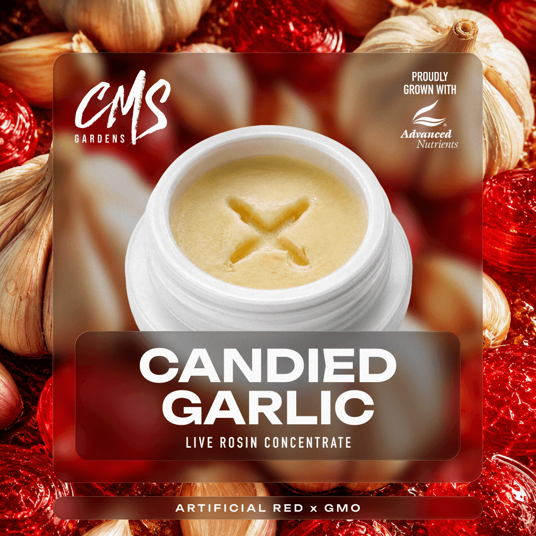 CMS Gardens – Candied Garlic [2g]