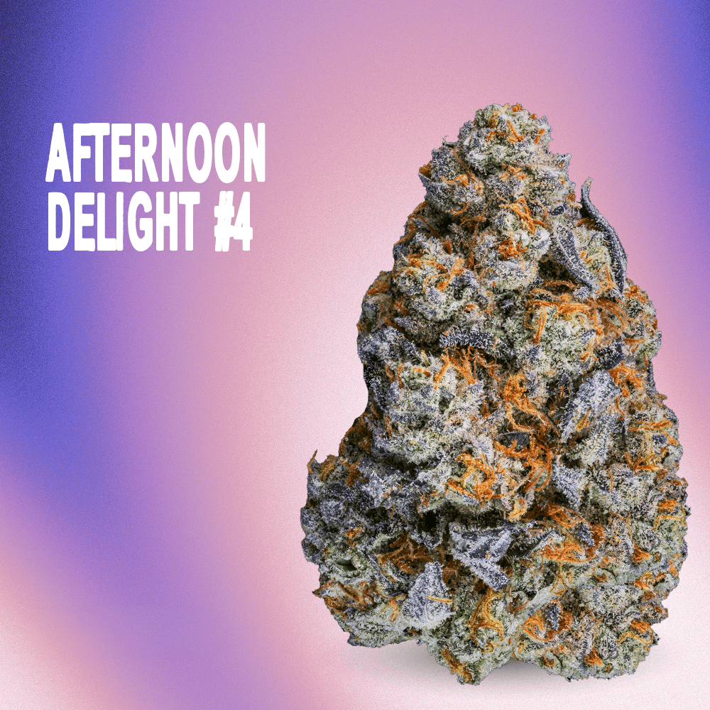 RYTHM – Afternoon Delight #4