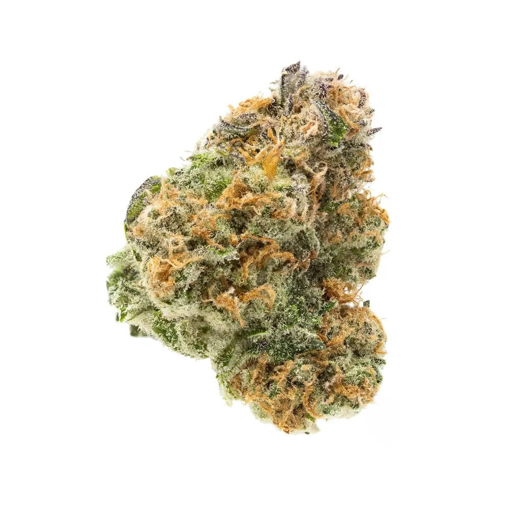 Terrapin – Red Mandarine