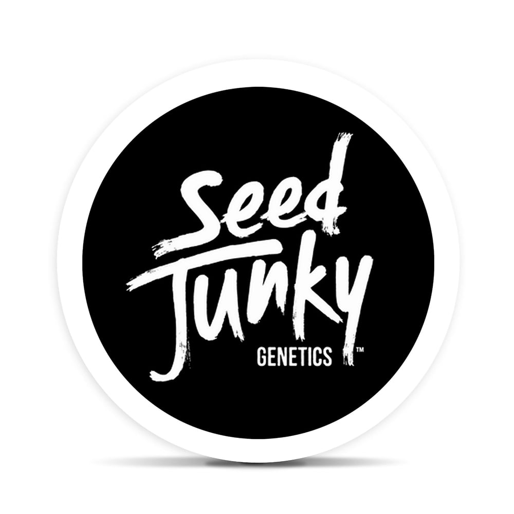 Seed Junky Genetics – Bubblegum Sherb [3g]