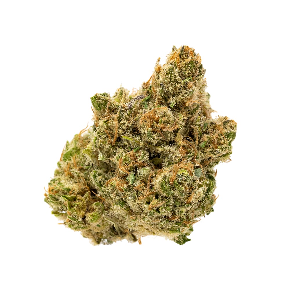 Terrapin – CBD Electric Blanket
