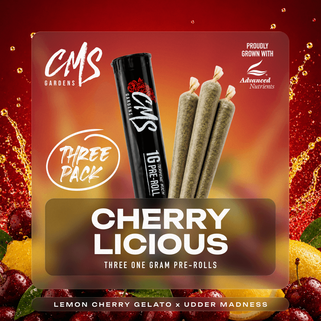 CMS Gardens – Cherrylicious [1g]
