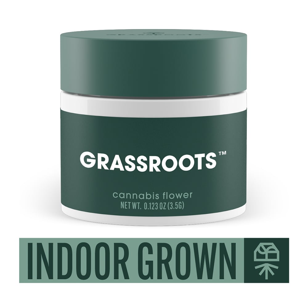 Grassroots – Delphi Diesel