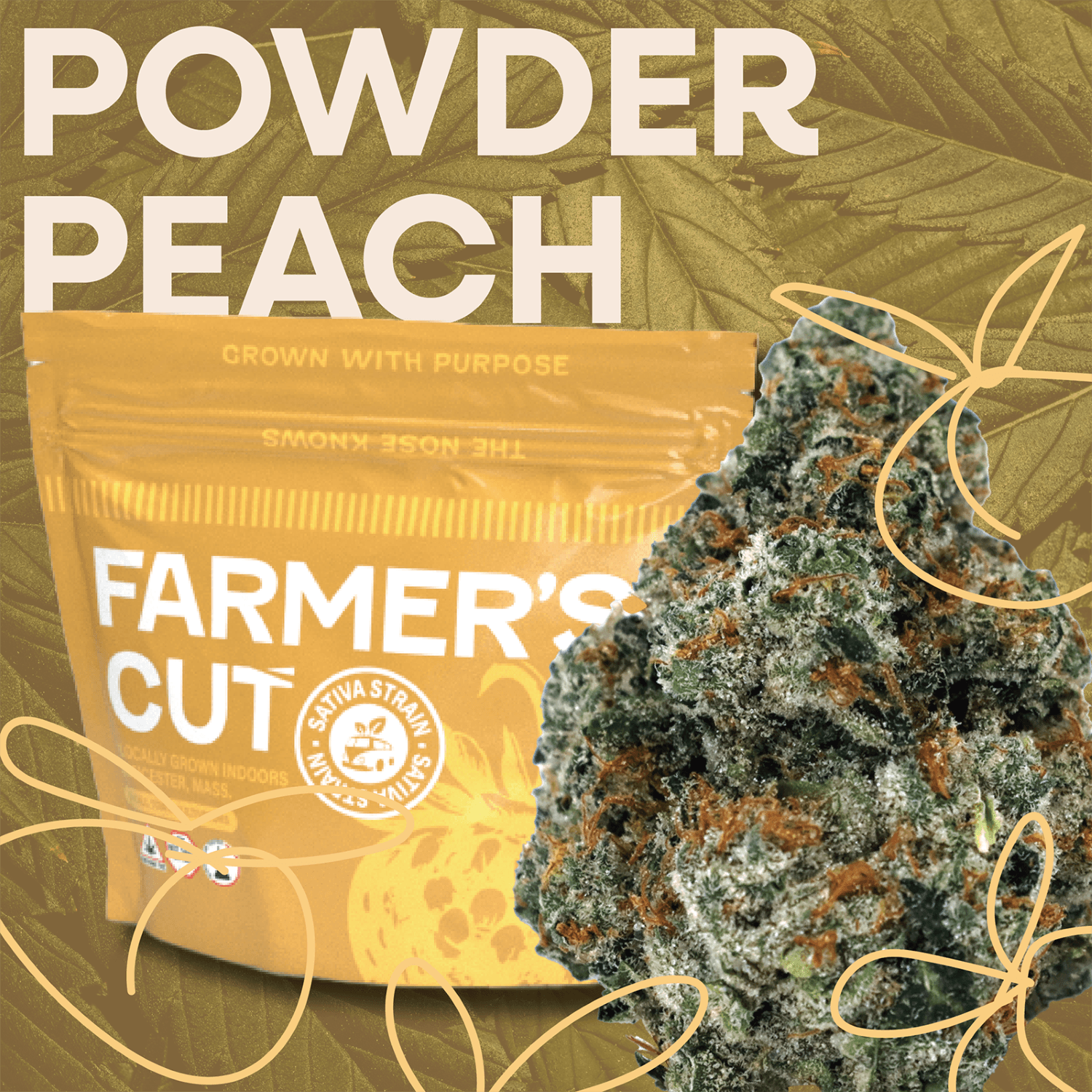 Farmer's Cut – Powder Peach