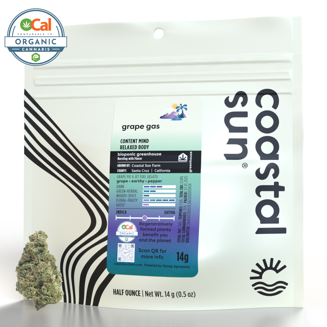 Coastal Sun – Grape Gas