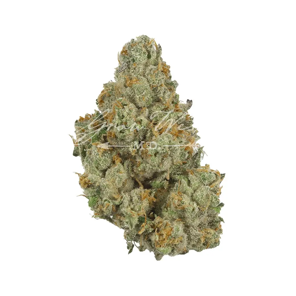 Grow West – Member Berry
