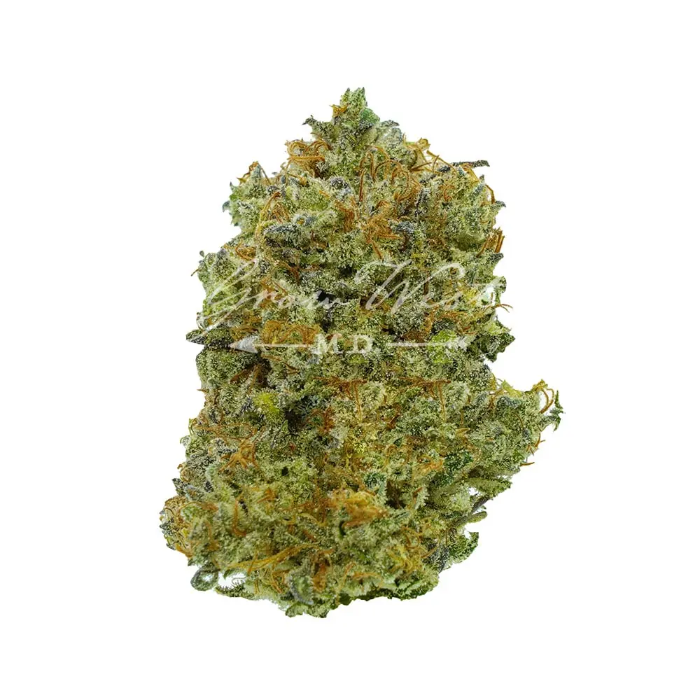 Grow West – Intergalactic