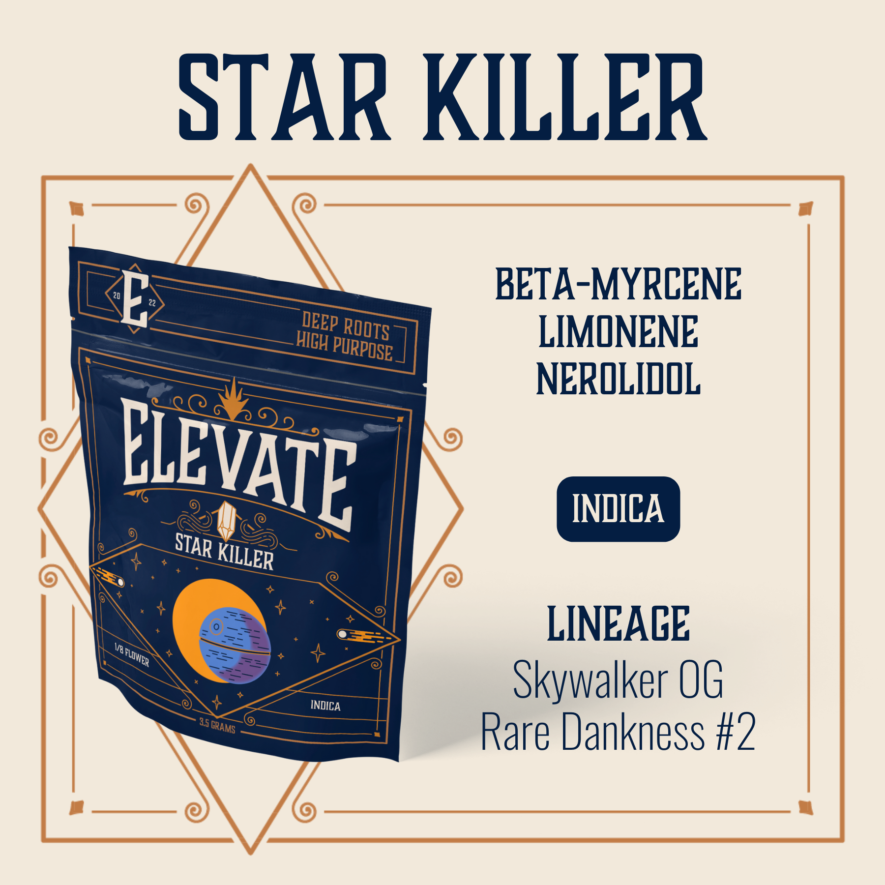 Elevate – Star Killer