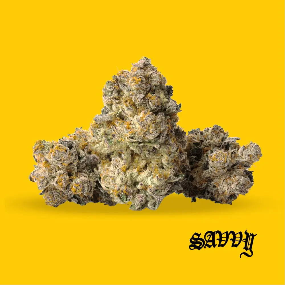 Savvy – Lemon Pastries