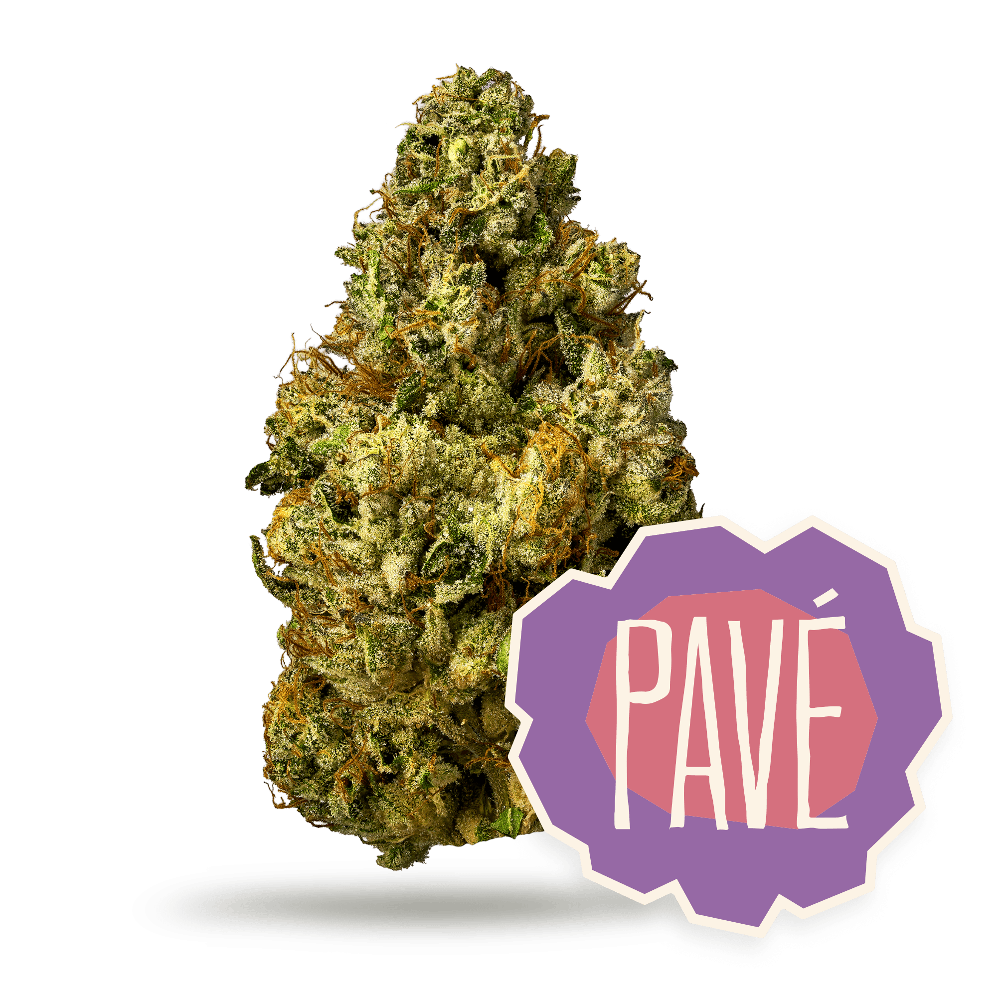 District Cannabis – Pavé