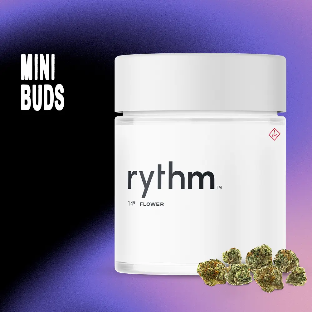 RYTHM – Blueberry Diesel