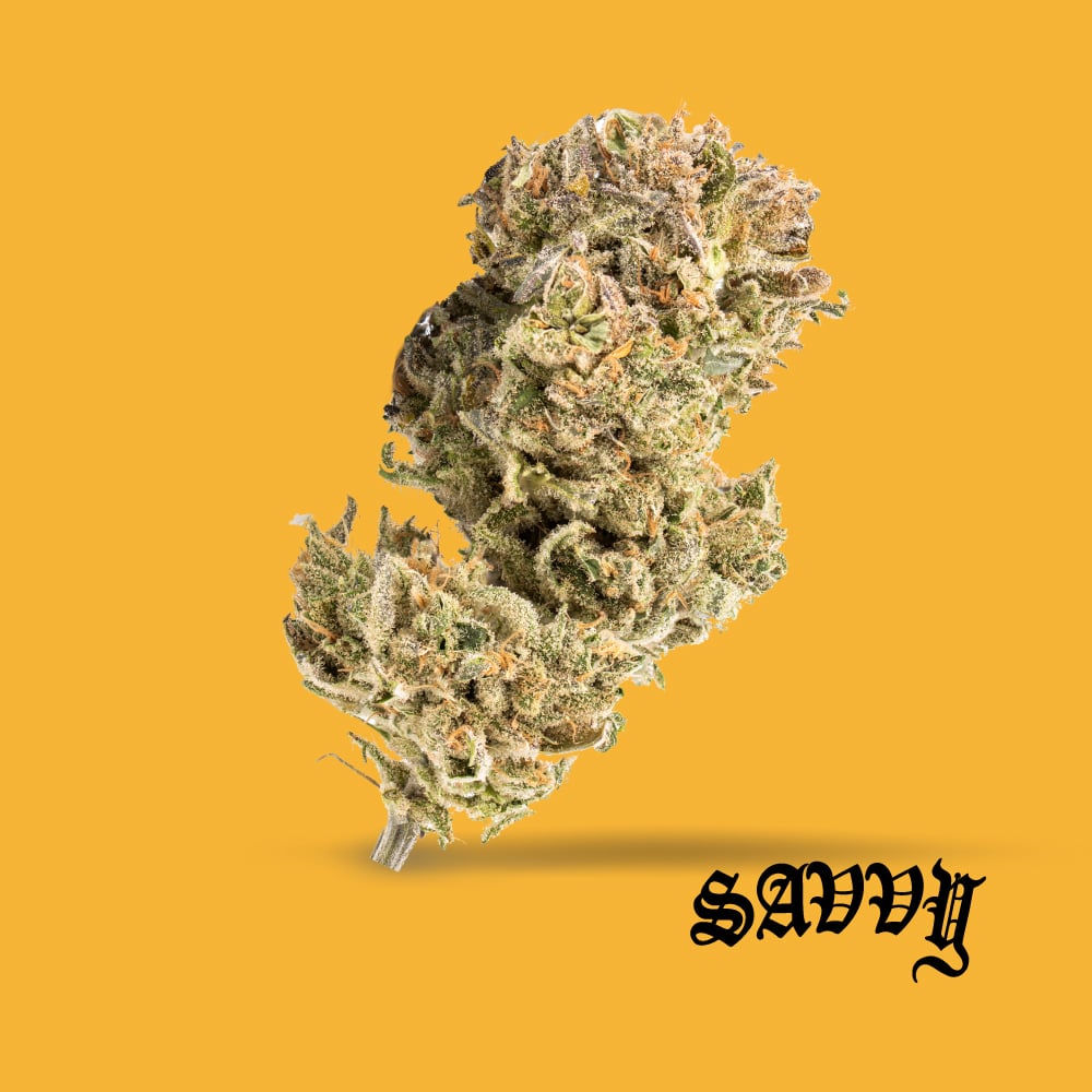 Savvy – B52 Bomber