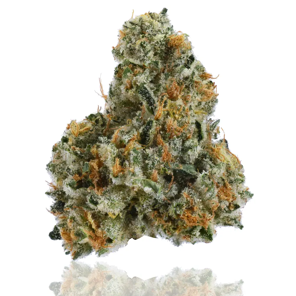 CAM – Agent Orange