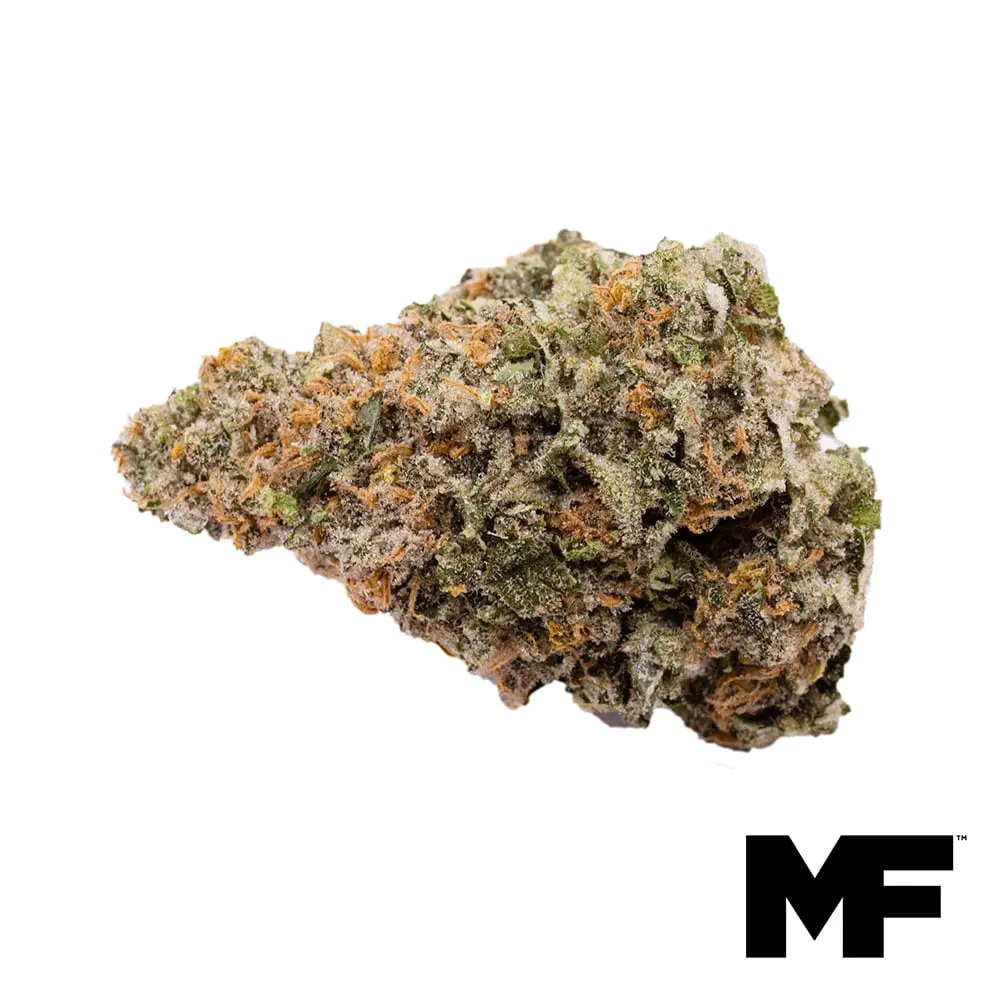 Modern Flower – Cherry Dosidos